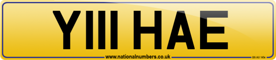 Y111 HAE