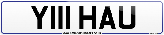 Y111 HAU