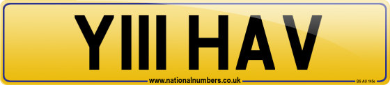 Y111 HAV