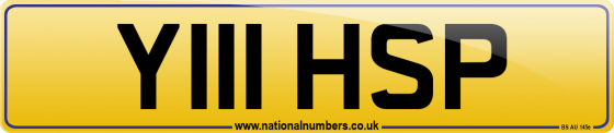 Y111 HSP