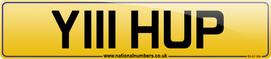 Y111 HUP
