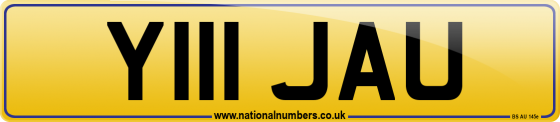 Y111 JAU