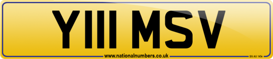 Y111 MSV