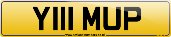 Y111 MUP