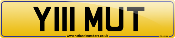 Y111 MUT