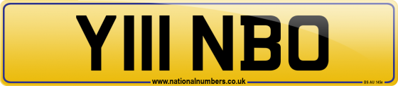 Y111 NBO