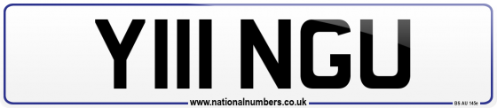 Y111 NGU