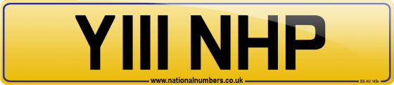 Y111 NHP