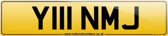 Y111 NMJ