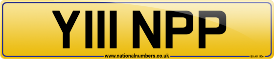 Y111 NPP