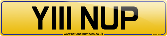 Y111 NUP
