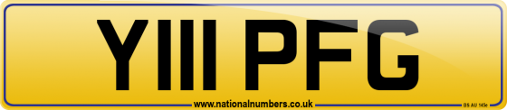 Y111 PFG