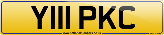 Y111 PKC