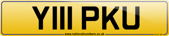 Y111 PKU