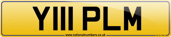 Y111 PLM