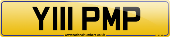 Y111 PMP