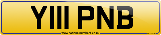 Y111 PNB