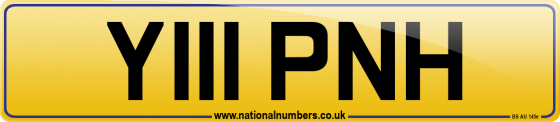 Y111 PNH