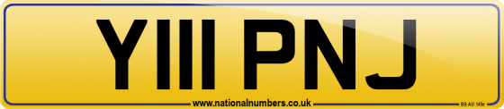 Y111 PNJ