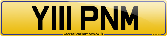 Y111 PNM