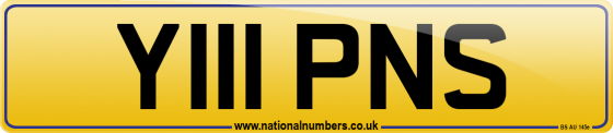 Y111 PNS