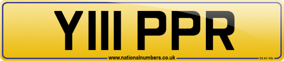 Y111 PPR