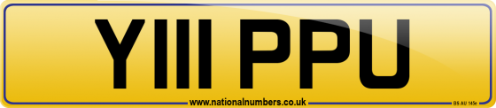 Y111 PPU