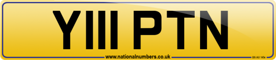 Y111 PTN