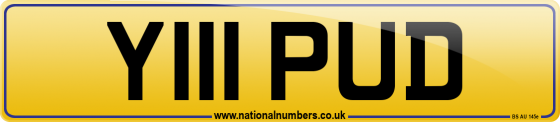 Y111 PUD