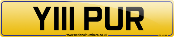 Y111 PUR