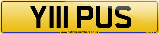 Y111 PUS