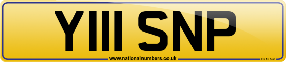 Y111 SNP