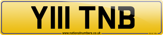 Y111 TNB