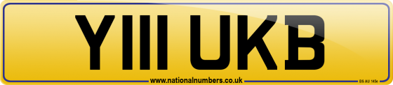 Y111 UKB