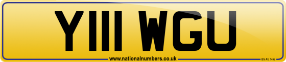 Y111 WGU