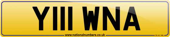 Y111 WNA