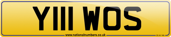 Y111 WOS