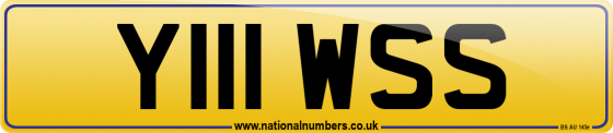 Y111 WSS