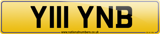 Y111 YNB