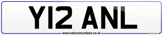 Y12 ANL