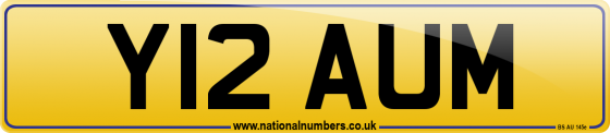 Y12 AUM