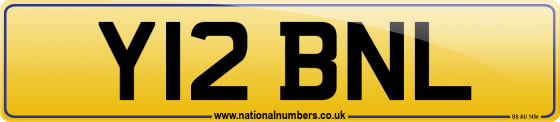 Y12 BNL