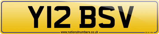 Y12 BSV