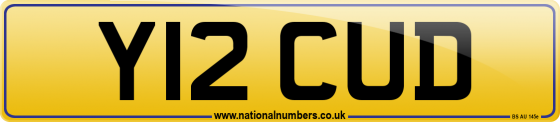 Y12 CUD
