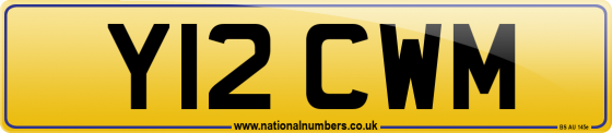 Y12 CWM