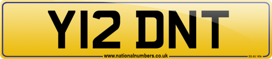 Y12 DNT