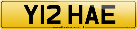 Y12 HAE