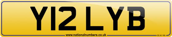 Y12 LYB