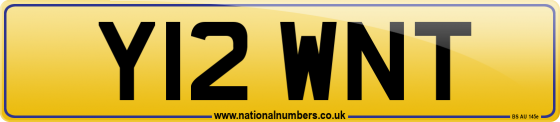 Y12 WNT