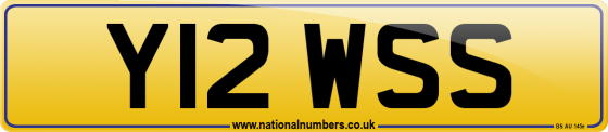 Y12 WSS